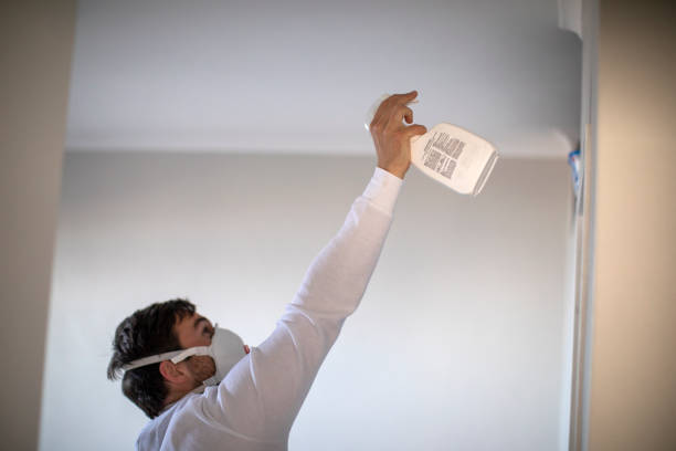Best Residential Mold Removal  in East Foothills, CA