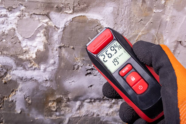 Best Mold Cleaning Services  in East Foothills, CA