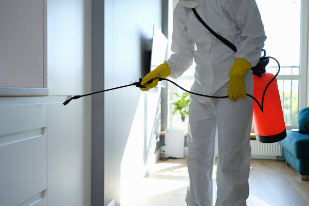 Best Emergency Mold Removal  in East Foothills, CA