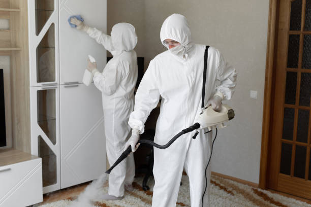 Best Attic Mold Removal  in East Foothills, CA